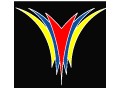 Young Champions - logo